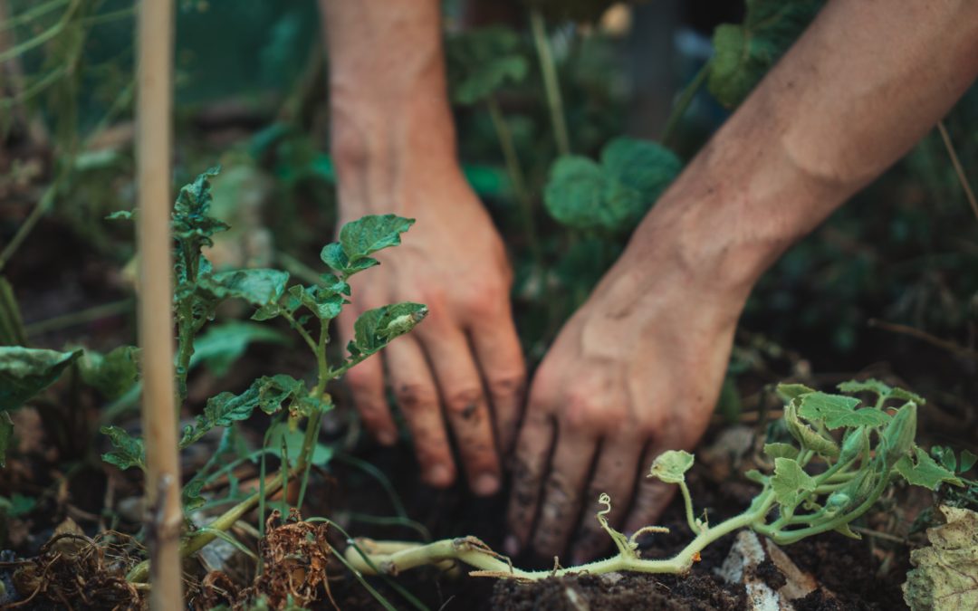 🚺 Female team to protect India’s rainforest