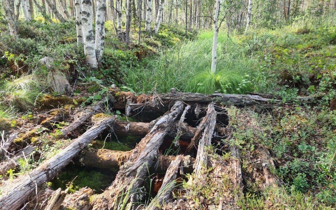 🧠 AI tracks down hidden ditches – prevents flooding