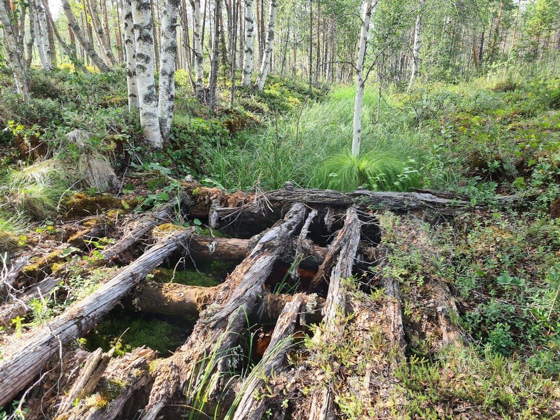 🧠 AI tracks down hidden ditches - prevents flooding