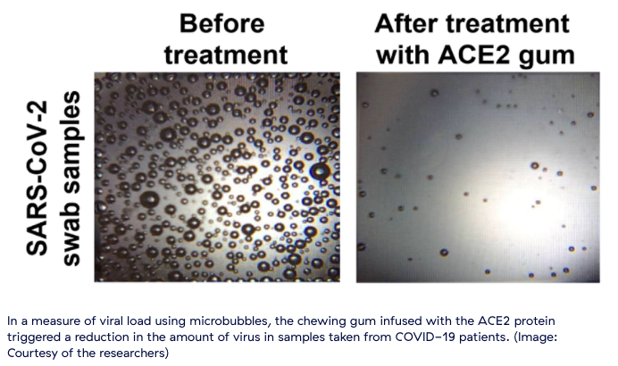 🌱 Plant-based chewing gum can reduce the spread of Covid-19