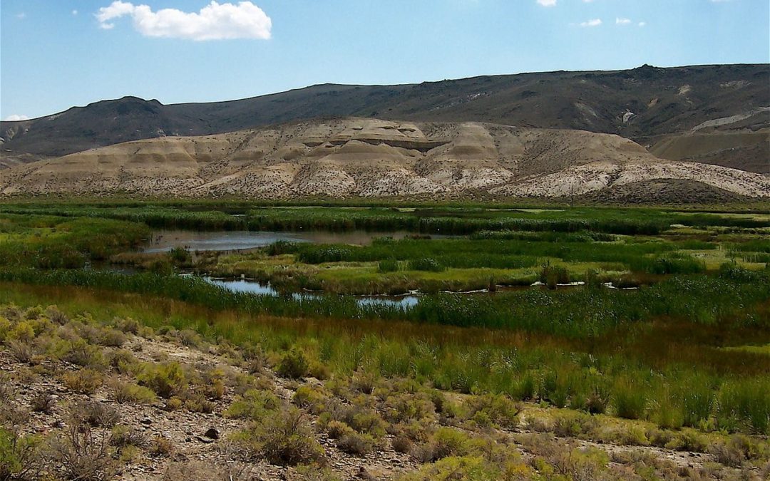 🌵 Communities in Africa winning against desertification