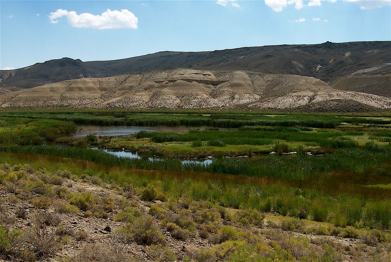 🌵 Communities in Africa winning against desertification