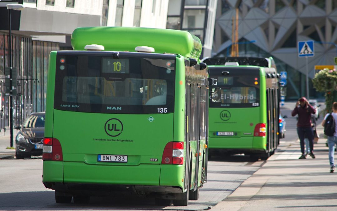 🚌 Heat from bus engines kills viruses