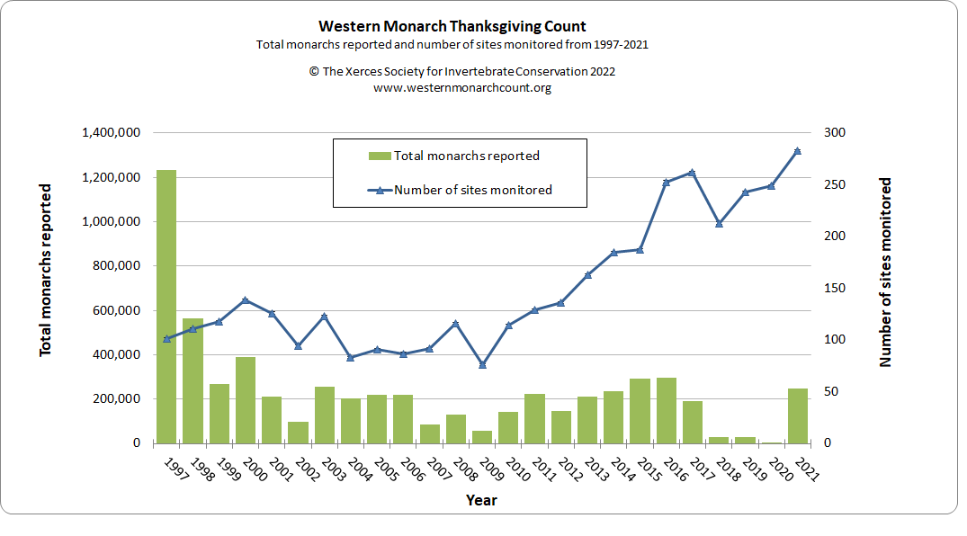 🦋 Strong recovery for the monarch butterfly in California