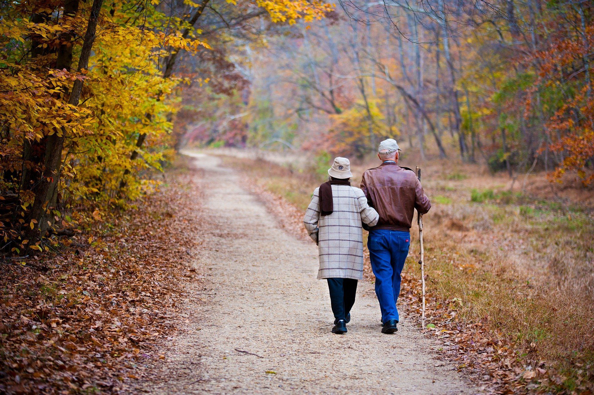 🧠 Exercise can improve memory in the elderly