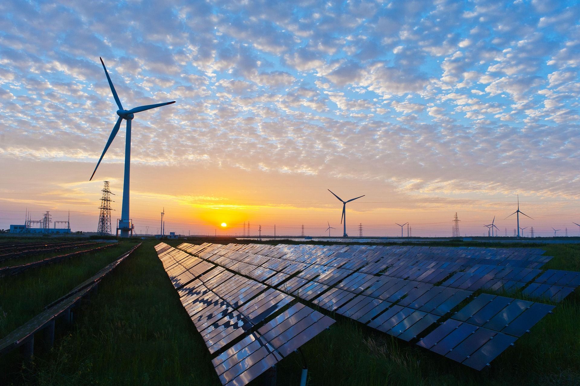 ♻ 14 percent of all U.S jobs 2030 will be "green"