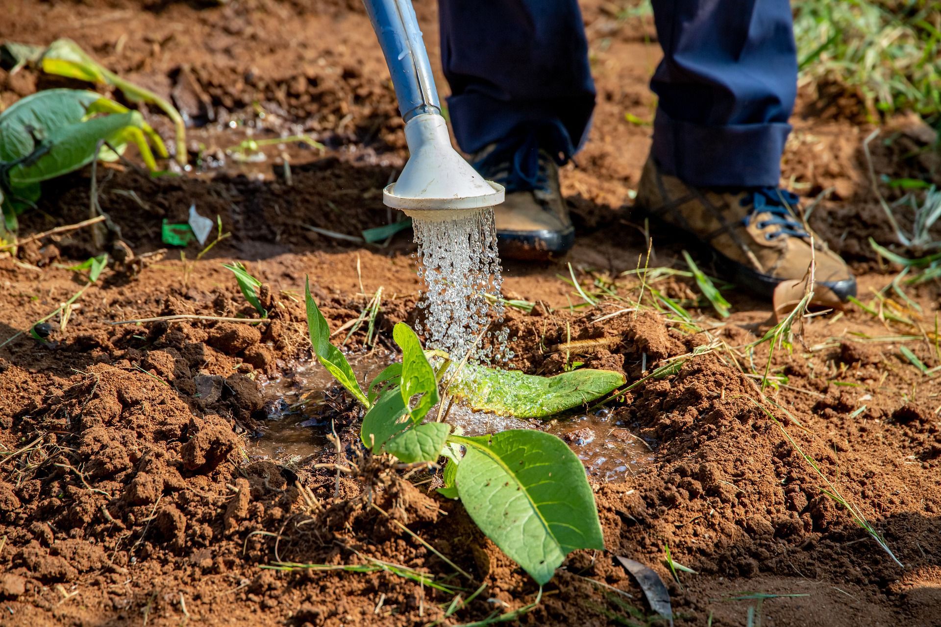 💧 Groundwater can save Africa from drought