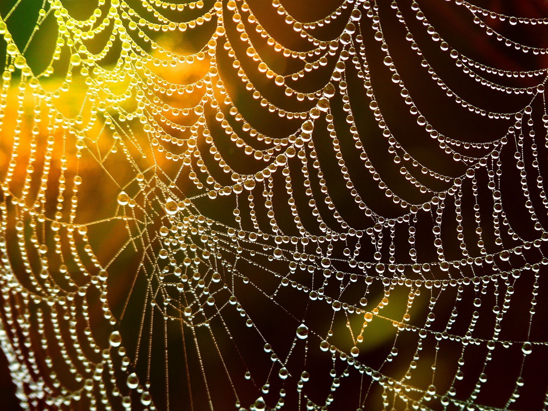 🕸 A breakthrough: Artificial cobwebs as good as the real thing