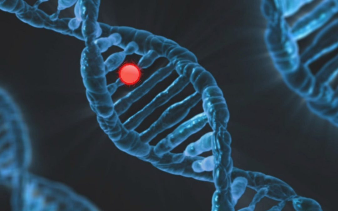 🧬 Gene editing with Crispr becomes 4,000 times more accurate