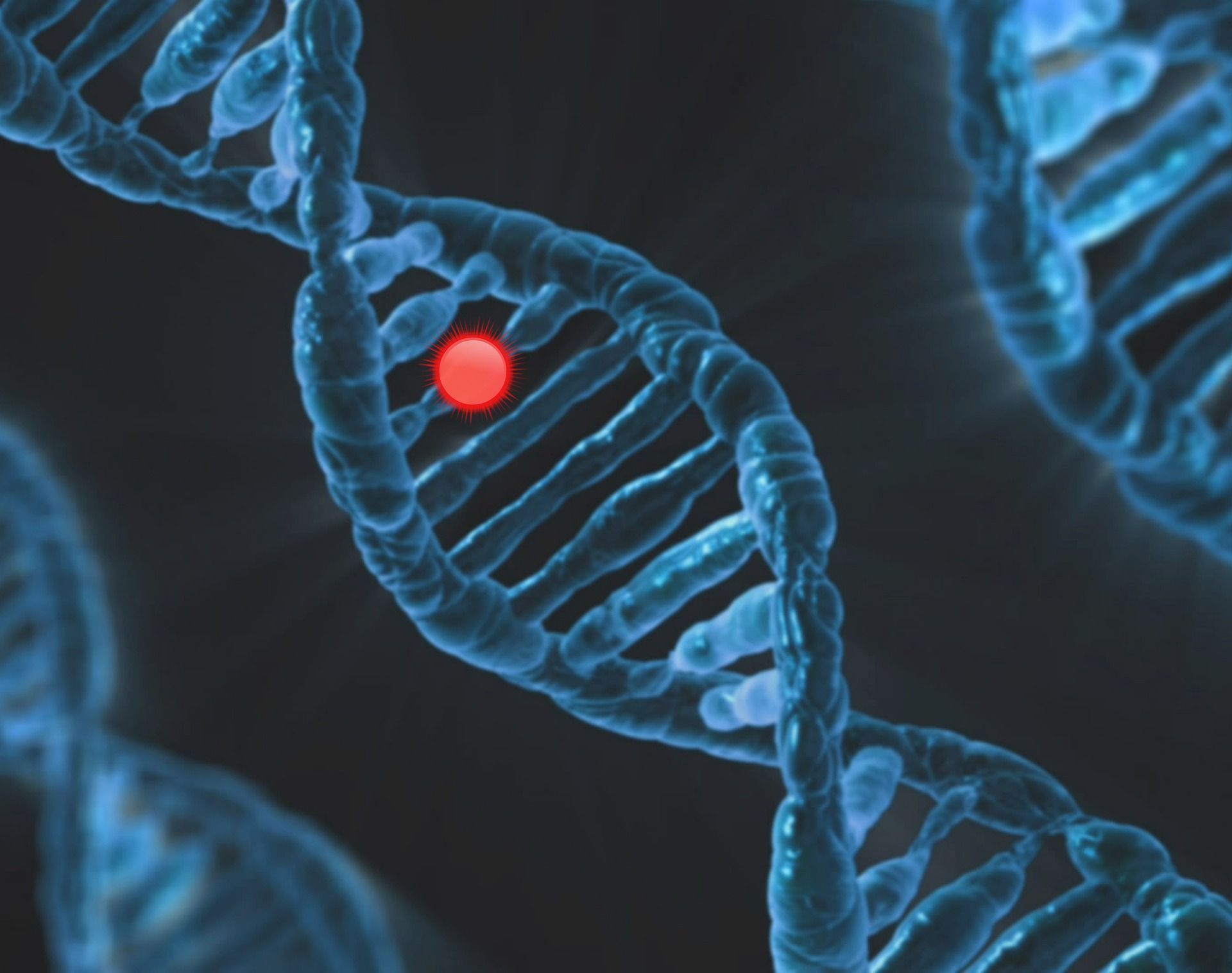 🧬 Gene editing with Crispr becomes 4,000 times more accurate