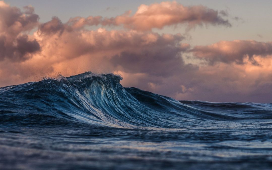 🌊 Systems absorb CO2 from the air by taking it from the sea