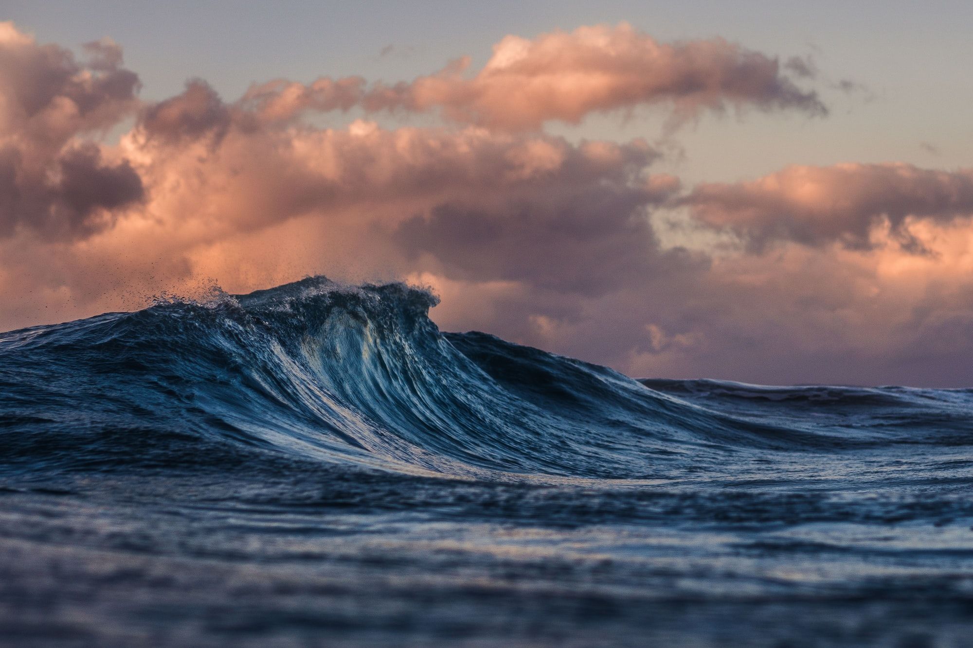 🌊 Systems absorb CO2 from the air by taking it from the sea