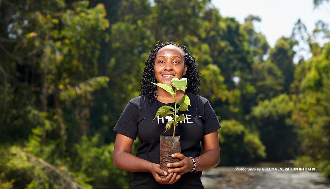 🏆 New prize offers career guidance for young environmentalists