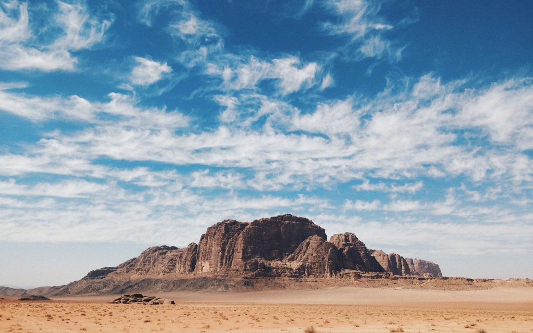 🏜 MIT team designs desert shelter for humans and animals