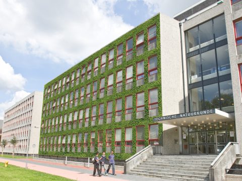 🏡 Moss on buildings cleans the air