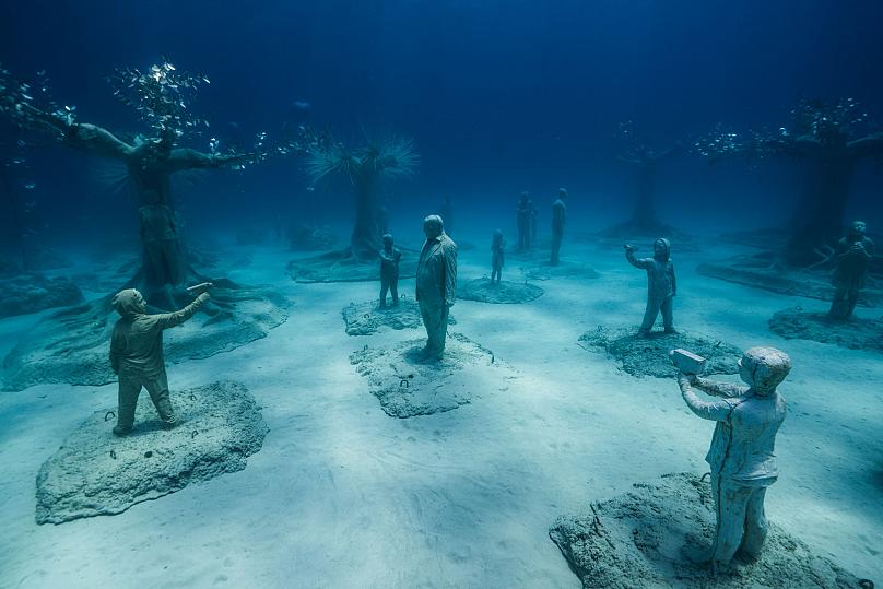 🐠 An underwater museum with a mission