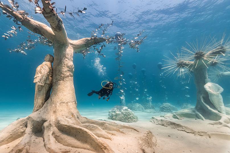 🐠 An underwater museum with a mission