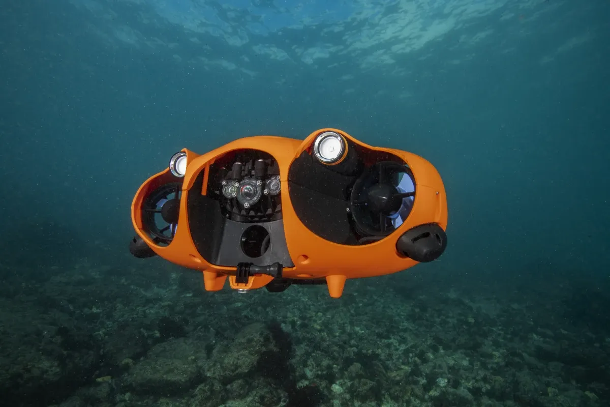 🐠 Drone improves underwater research