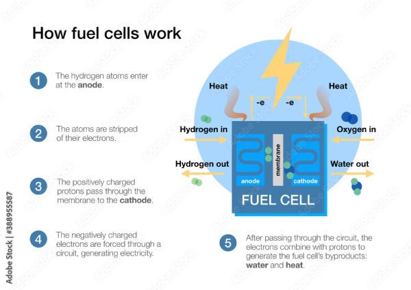 🚗 Researchers omit platinum to create affordable hydrogen fuel cells