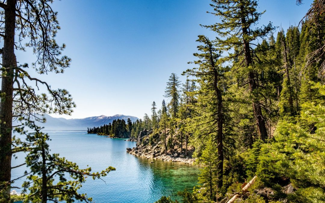🤿 Scuba divers recover 25 000 pounds of trash from Lake Tahoe