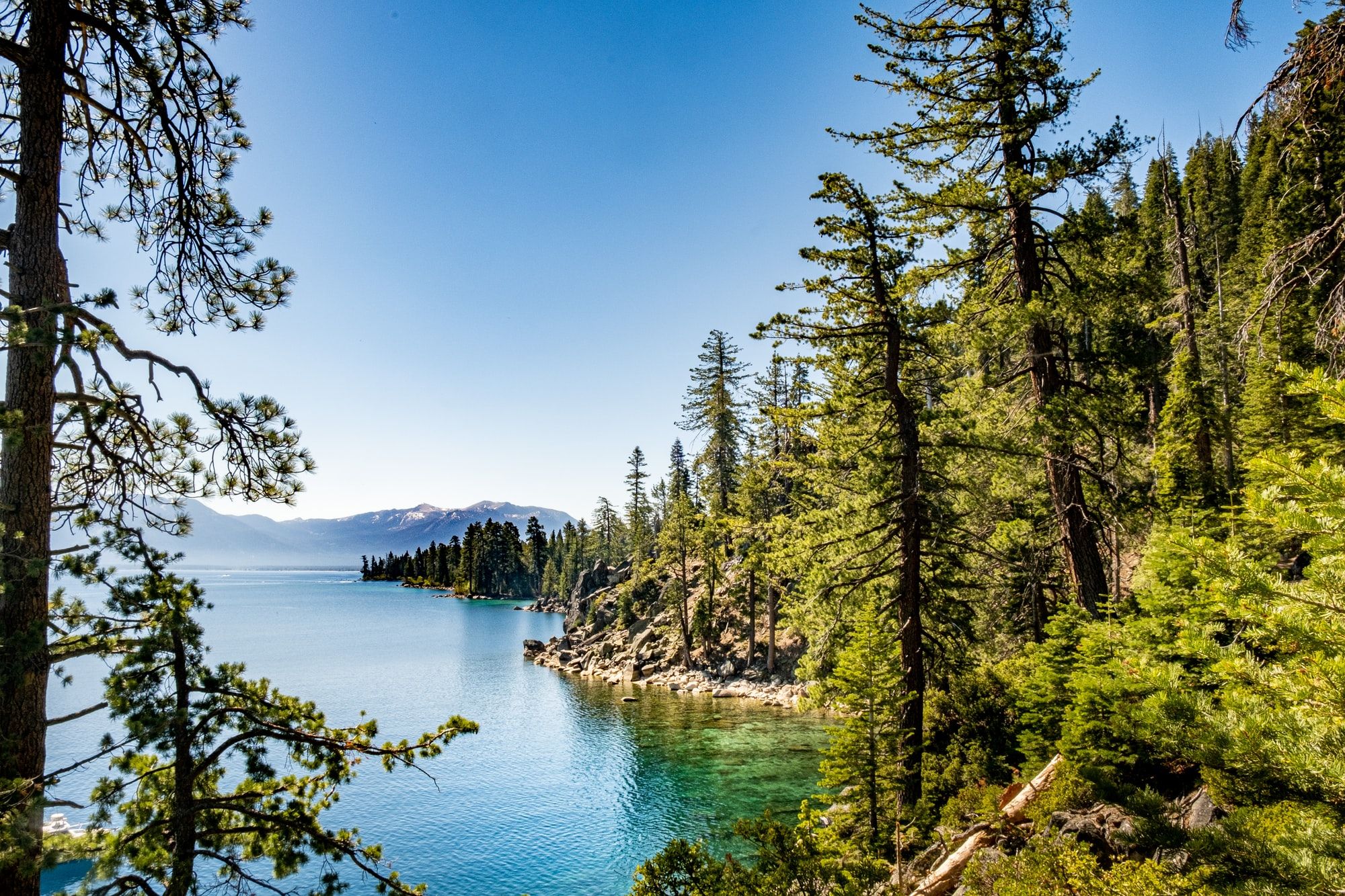 🤿 Scuba divers recover 25 000 pounds of trash from Lake Tahoe