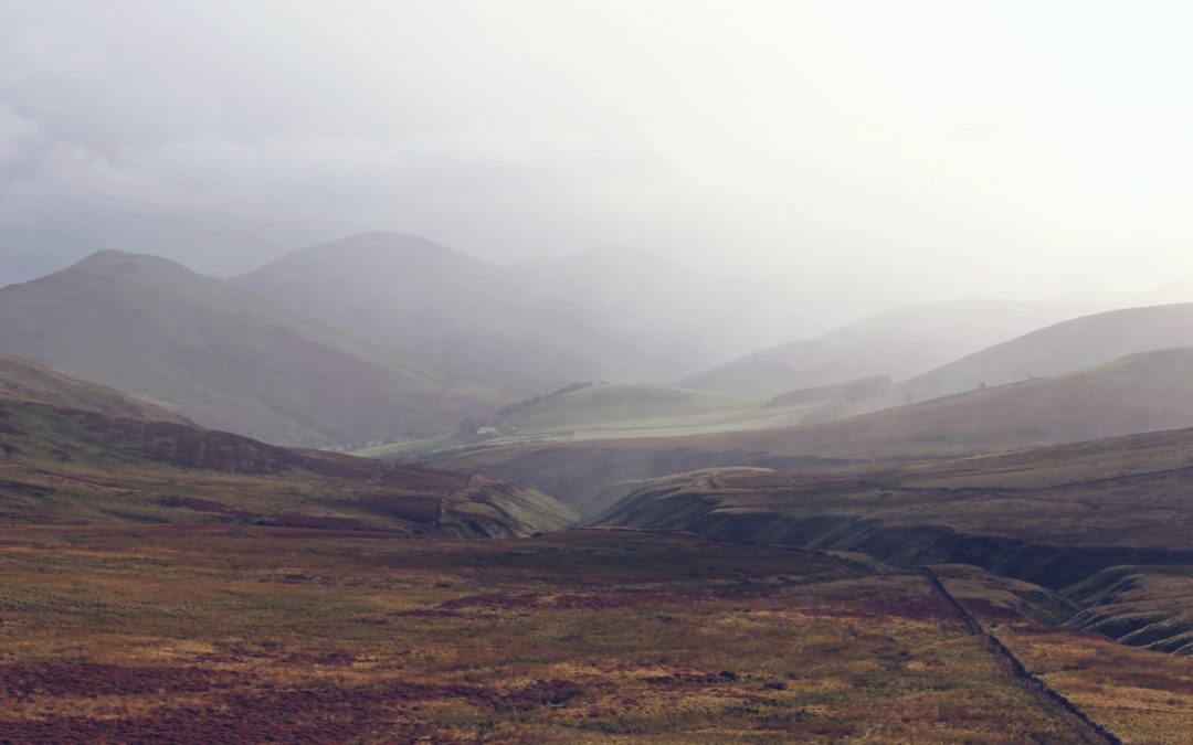 🏴󠁧󠁢󠁳󠁣󠁴󠁿 Scottish villagers buy nature reserve