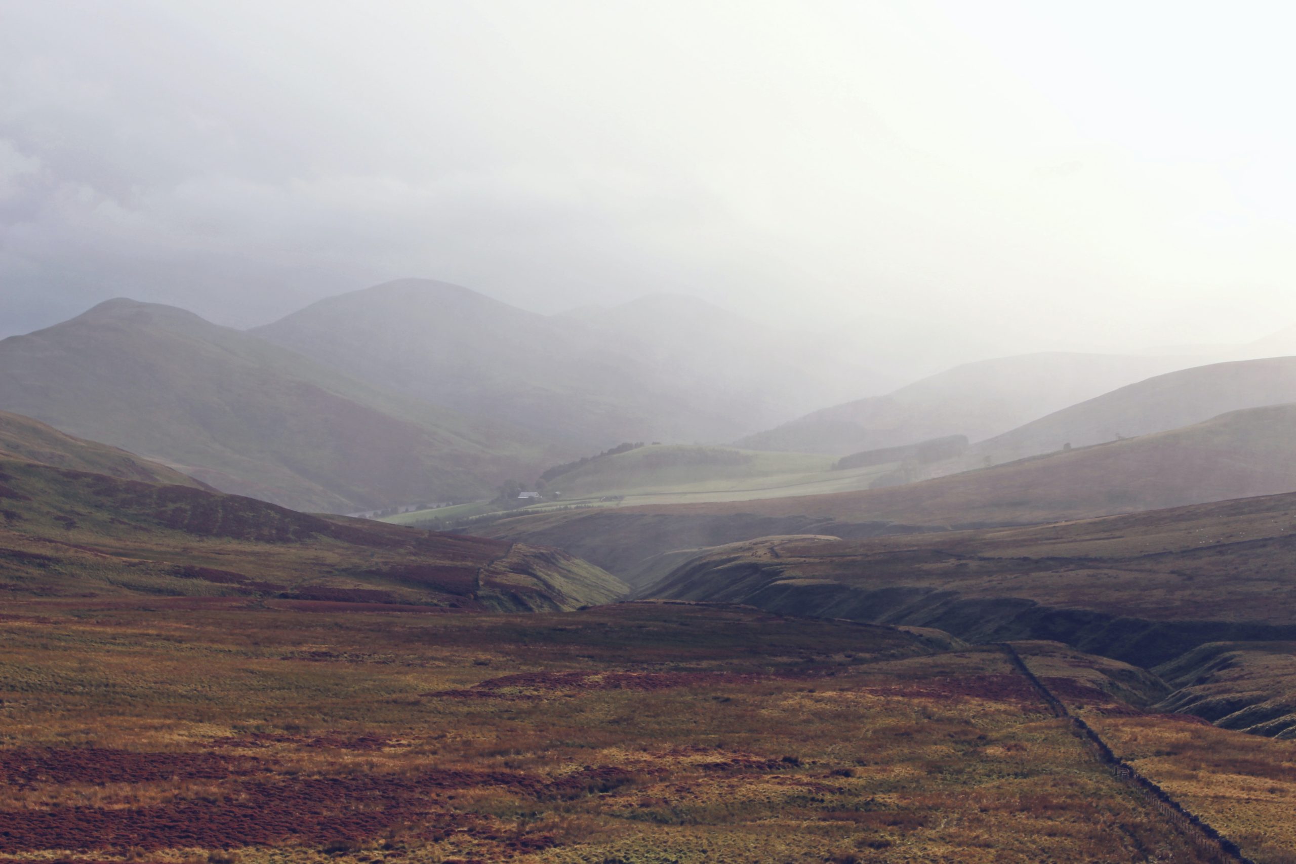 🏴󠁧󠁢󠁳󠁣󠁴󠁿 Scottish villagers buy nature reserve | Warp Institute