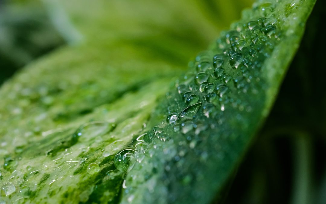 🚰 New method pulls drinking water from the air