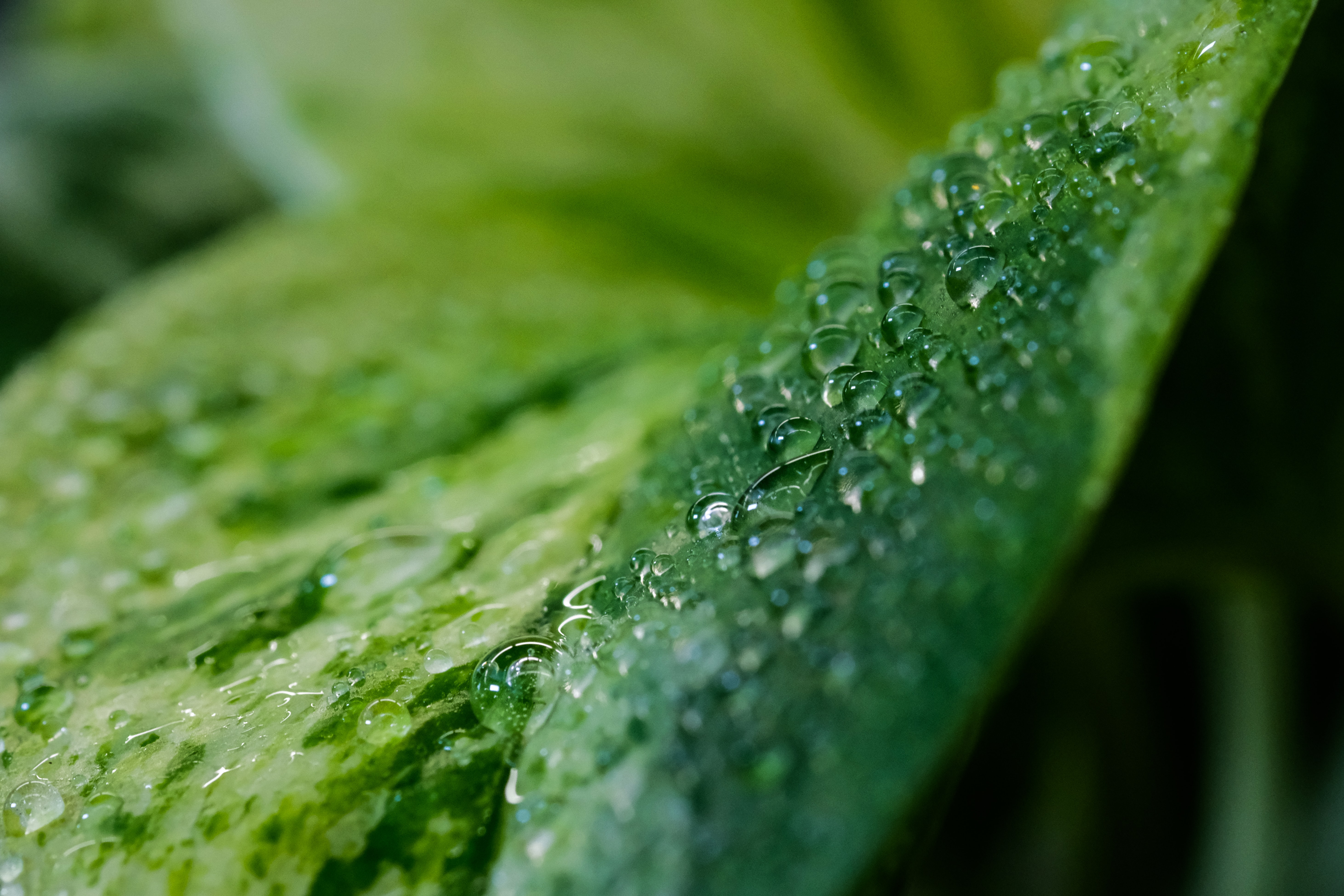 🚰 New method pulls drinking water from the air