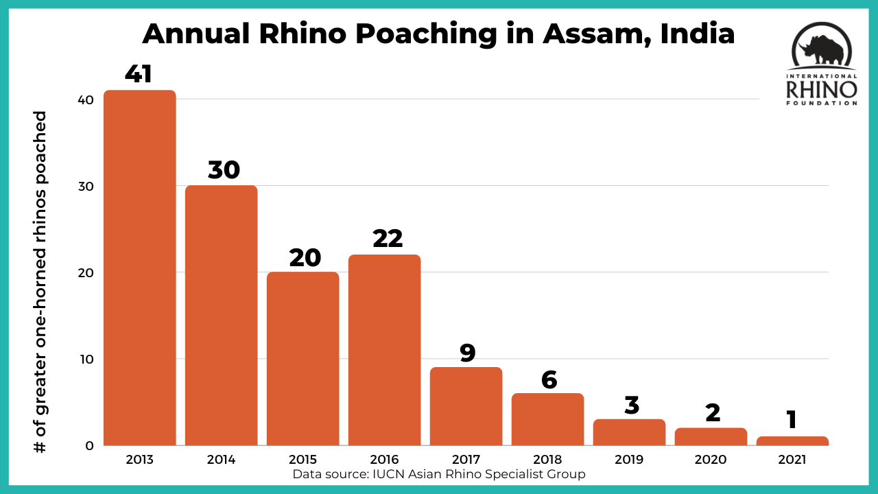 🦏 Baby boom is raising hopes for the Indian rhino