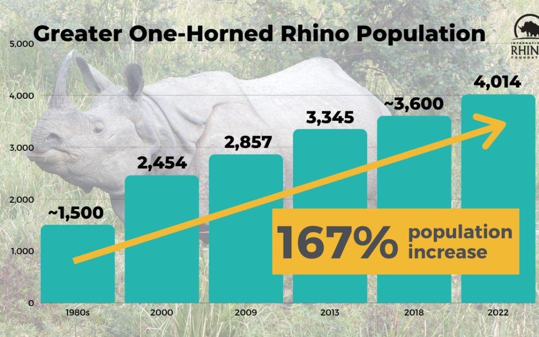 🦏 Baby boom is raising hopes for the Indian rhino