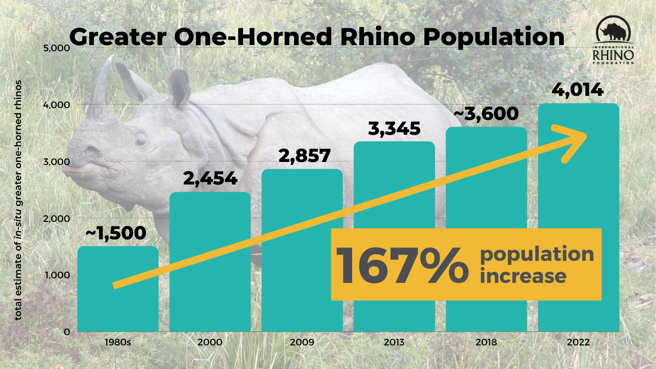 🦏 Baby boom is raising hopes for the Indian rhino