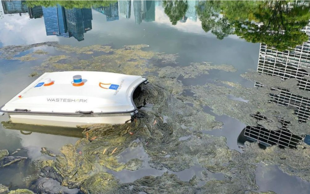 🌅 A floating drone “eats” pollutants before they can reach the sea