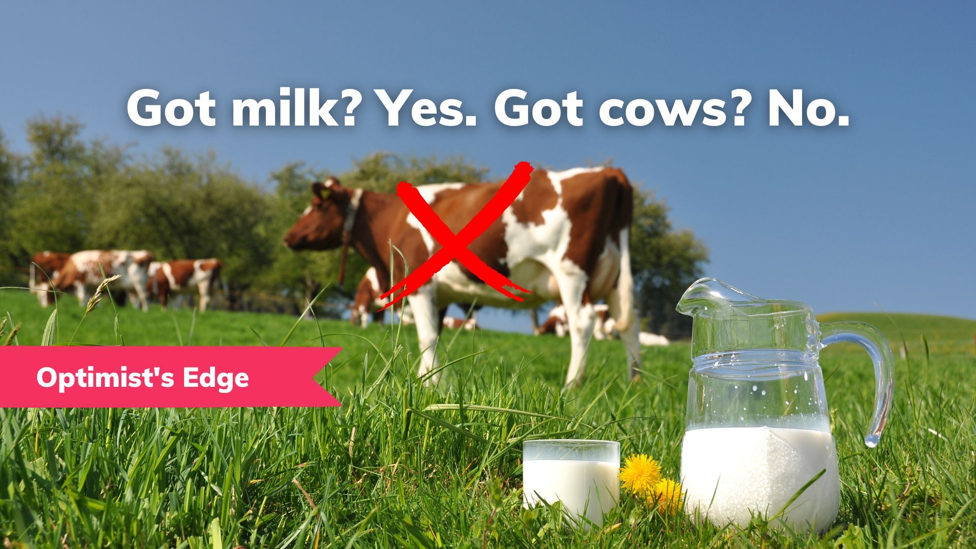 💡 Optimist's Edge: Milk without cows