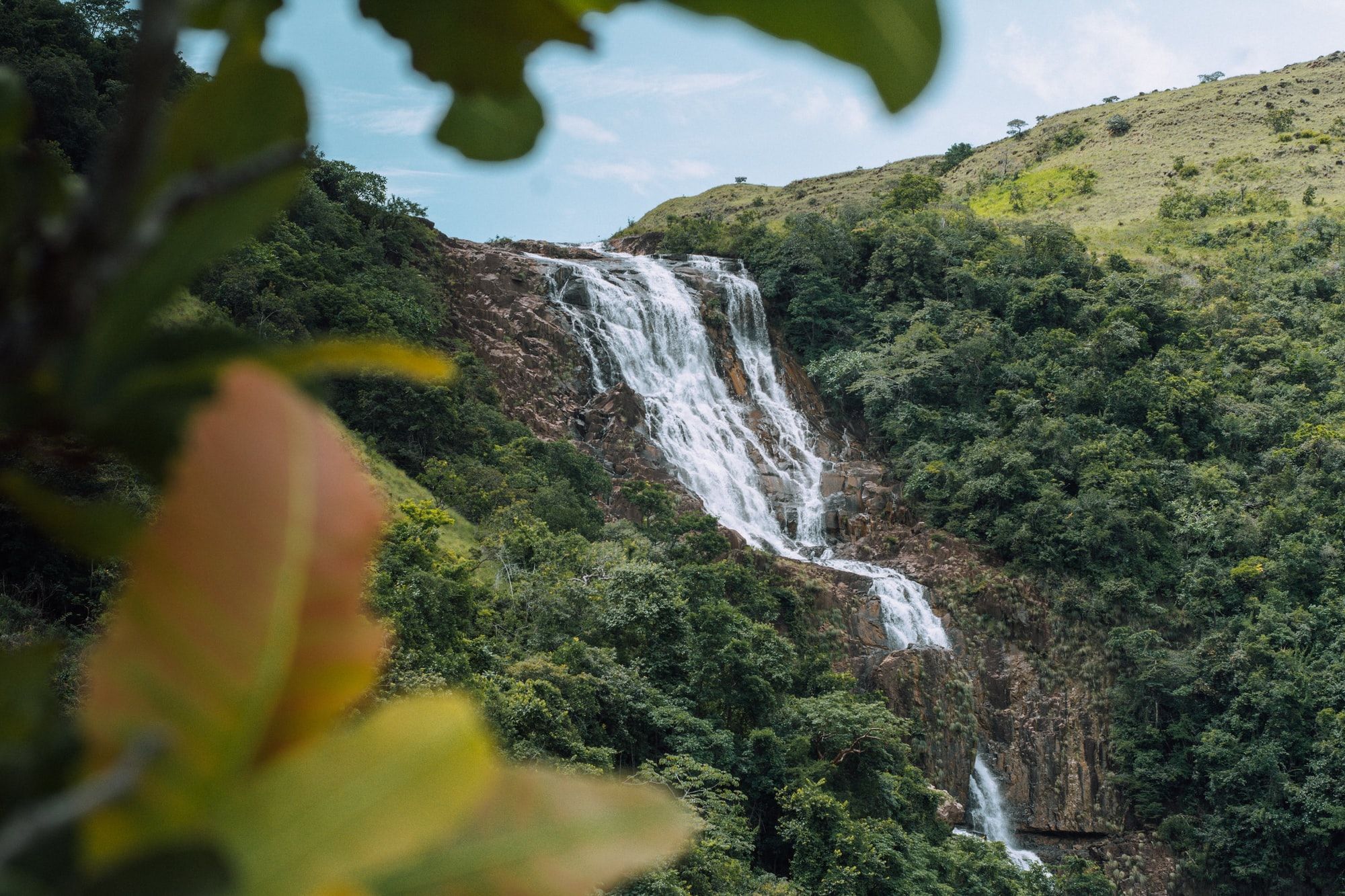 🌸 Nature gets rights in Panama