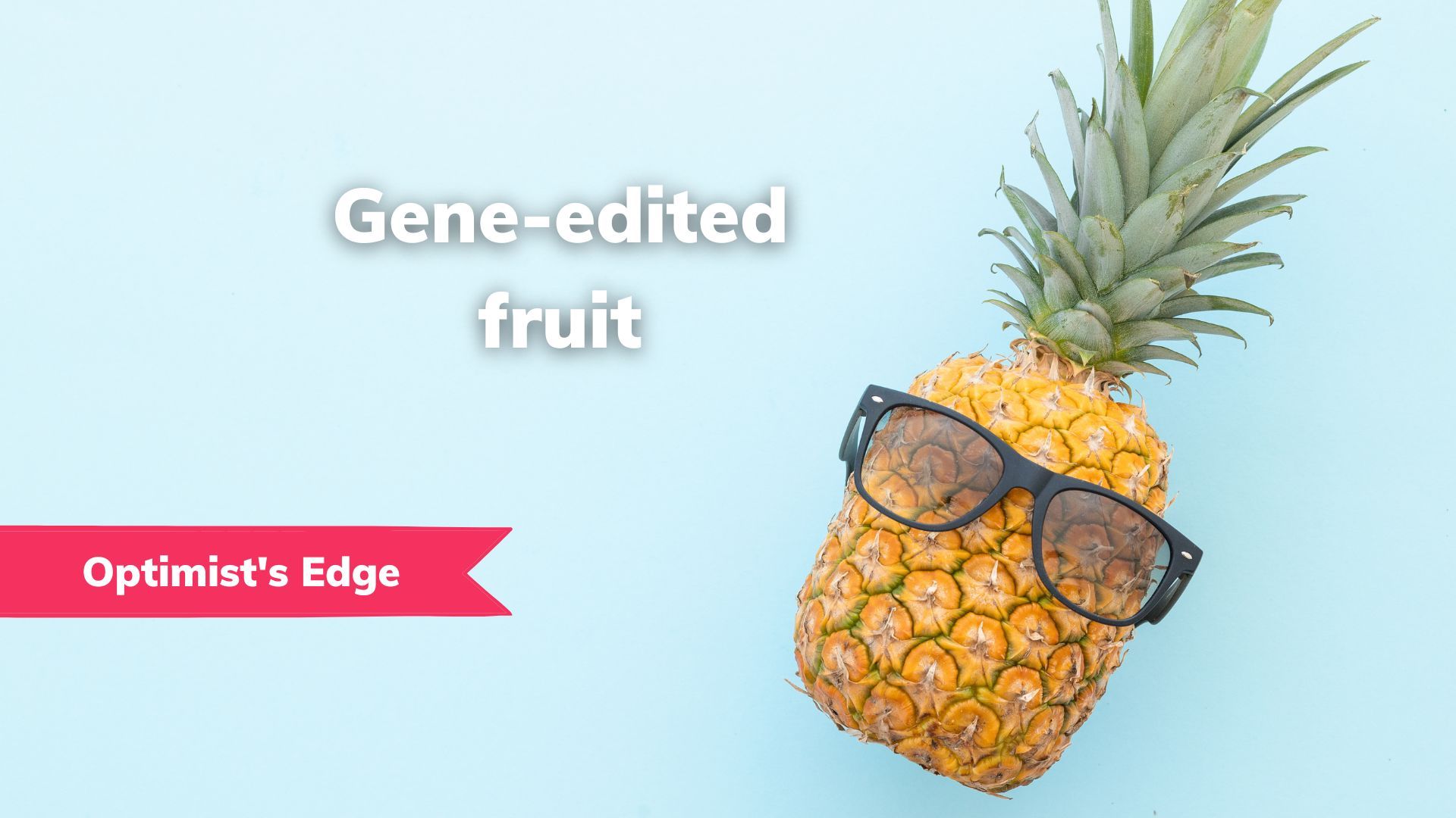 💡 Optimist's Edge: Plant breeding in no time with the gene scissors CRISPR