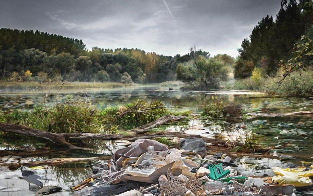 🦠 Bacteria can clear plastic from lakes