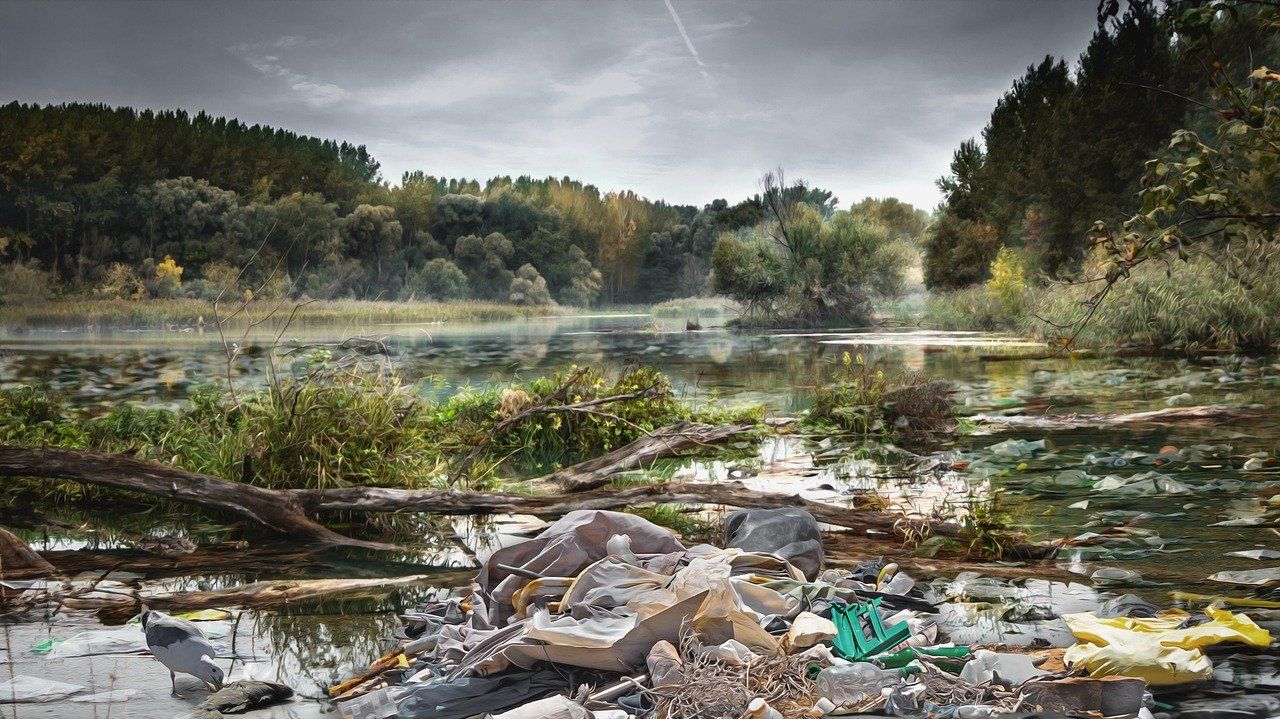 🦠 Bacteria can clear plastic from lakes