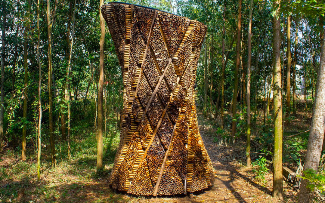 🧊 Green alternative to air conditioning: cooling bamboo system