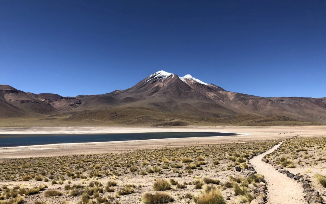 🌸 Chile’s Atacama desert have been turned into a nature reserve