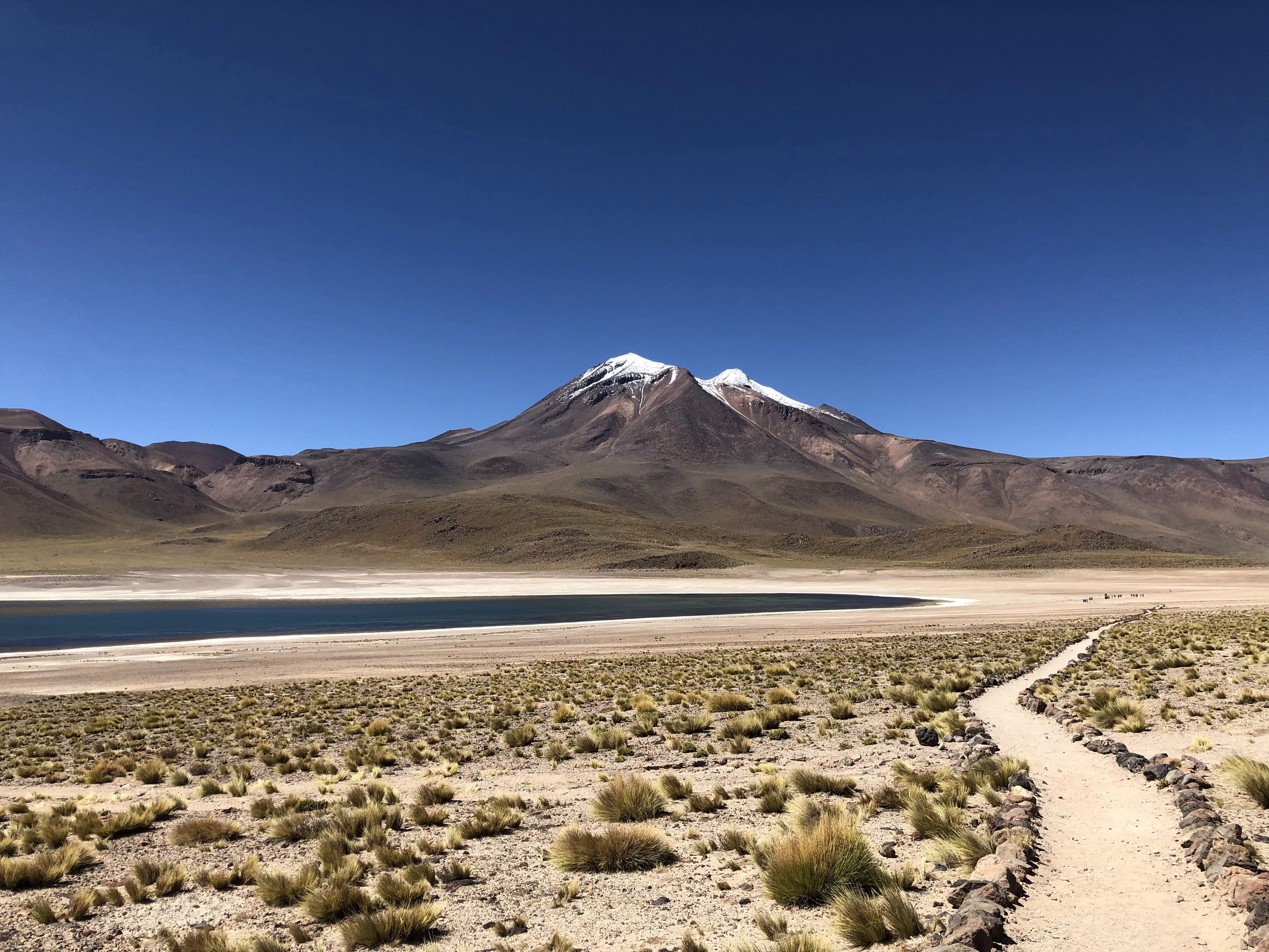 🌸 Chile's Atacama desert have been turned into a nature reserve