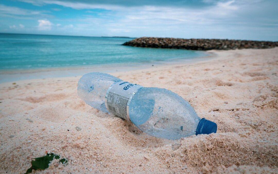 🥤 “Plastic deposit” cleans up the sea