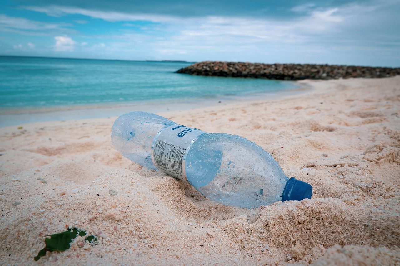 🥤 "Plastic deposit" cleans up the sea